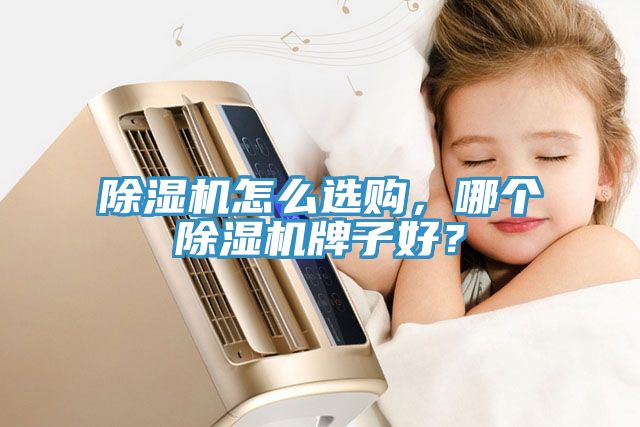 除濕機(jī)怎么選購(gòu)，哪個(gè)除濕機(jī)牌子好？