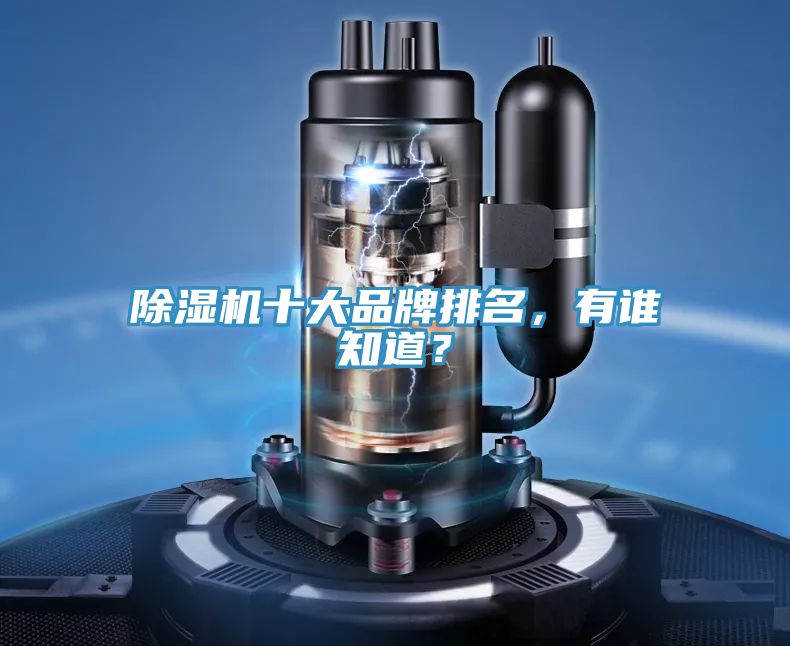 除濕機十大品牌排名，有誰知道？