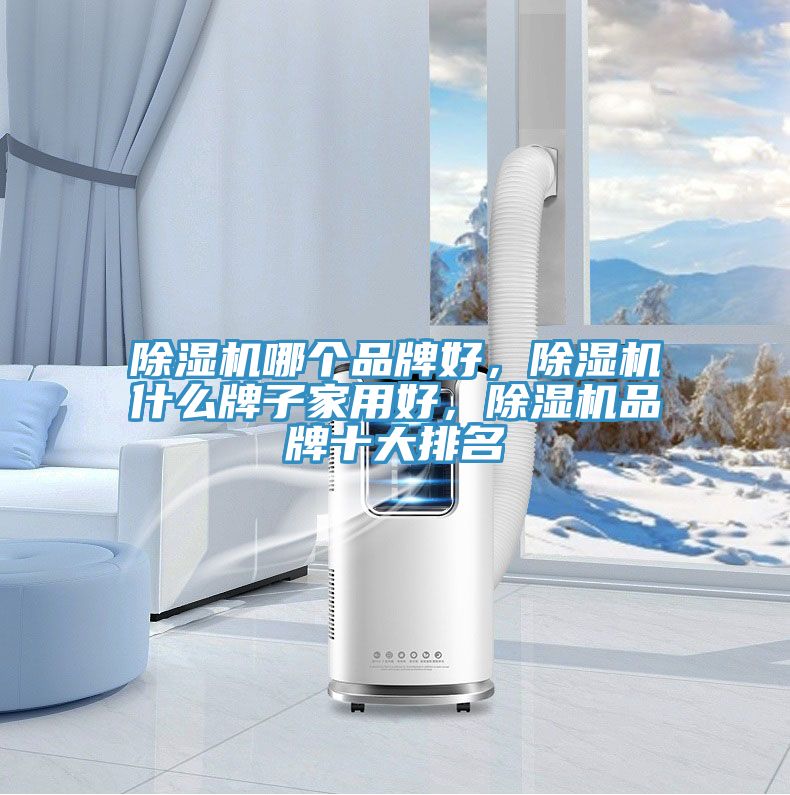 除濕機哪個品牌好，除濕機什么牌子家用好，除濕機品牌十大排名