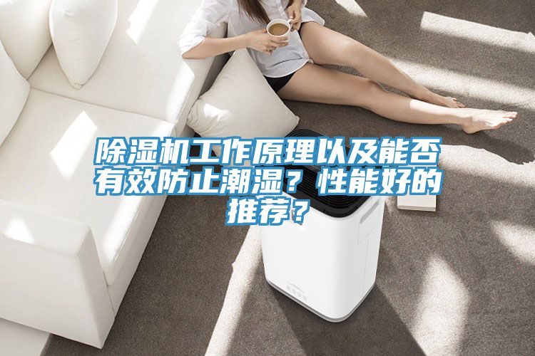 除濕機(jī)工作原理以及能否有效防止潮濕？性能好的推薦？