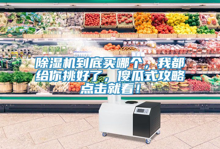 除濕機到底買哪個，我都給你挑好了，傻瓜式攻略點擊就看！