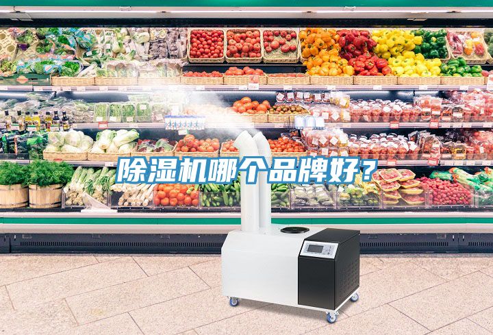除濕機哪個品牌好？