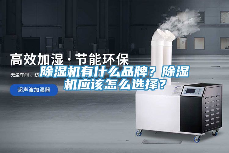 除濕機(jī)有什么品牌？除濕機(jī)應(yīng)該怎么選擇？