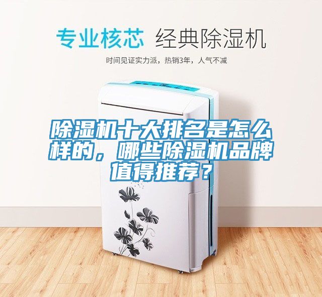 除濕機(jī)十大排名是怎么樣的，哪些除濕機(jī)品牌值得推薦？