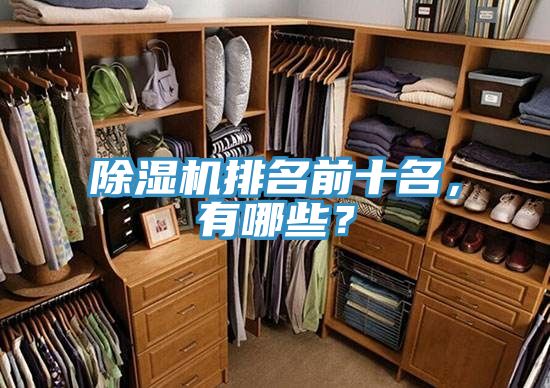 除濕機(jī)排名前十名，有哪些？