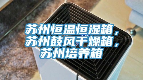 蘇州恒溫恒濕箱，蘇州鼓風(fēng)干燥箱，蘇州培養(yǎng)箱