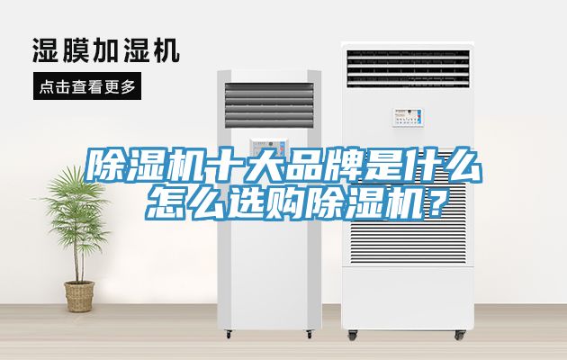除濕機(jī)十大品牌是什么 怎么選購(gòu)除濕機(jī)？