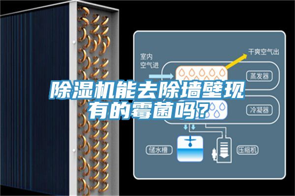 除濕機(jī)能去除墻壁現(xiàn)有的霉菌嗎？
