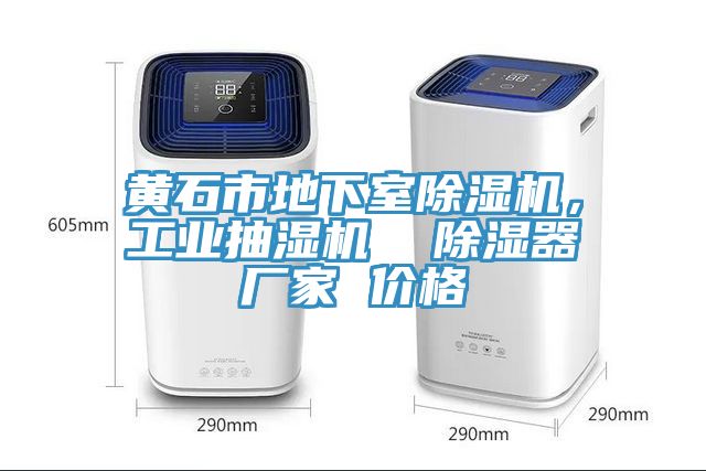 黃石市地下室除濕機，工業(yè)抽濕機  除濕器廠家 價格