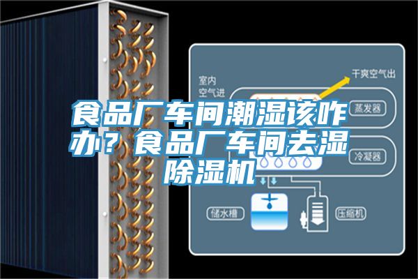 食品廠車間潮濕該咋辦？食品廠車間去濕除濕機(jī)