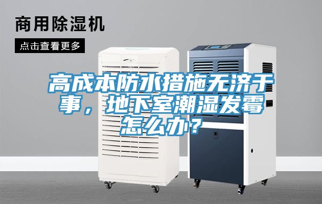 高成本防水措施無濟(jì)于事，地下室潮濕發(fā)霉怎么辦？