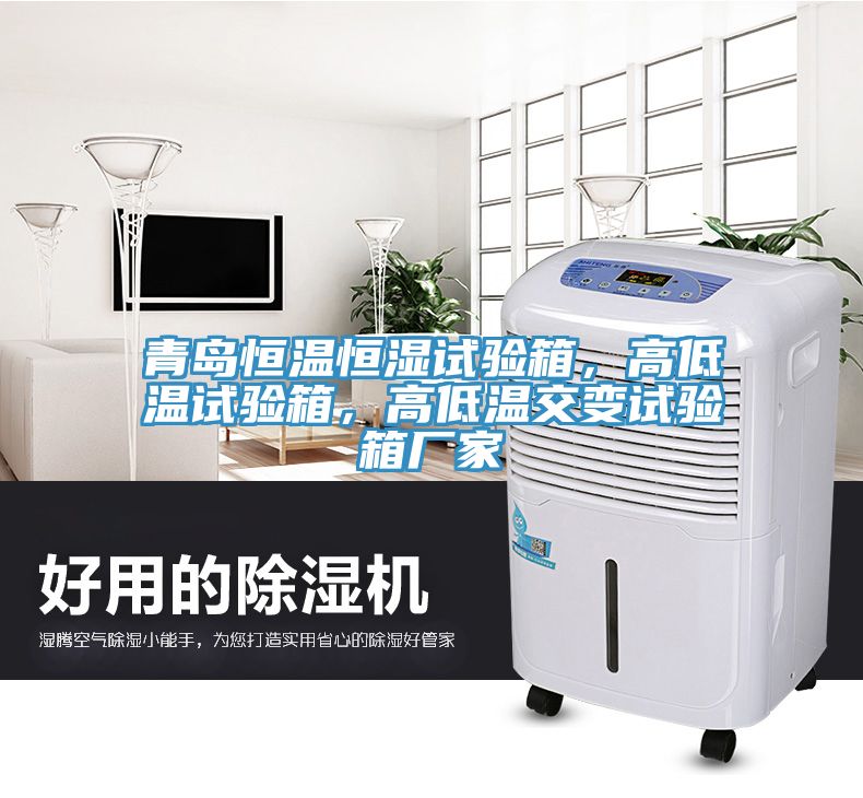 青島恒溫恒濕試驗箱，高低溫試驗箱，高低溫交變試驗箱廠家