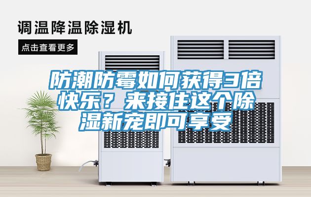 防潮防霉如何獲得3倍快樂？來接住這個除濕新寵即可享受