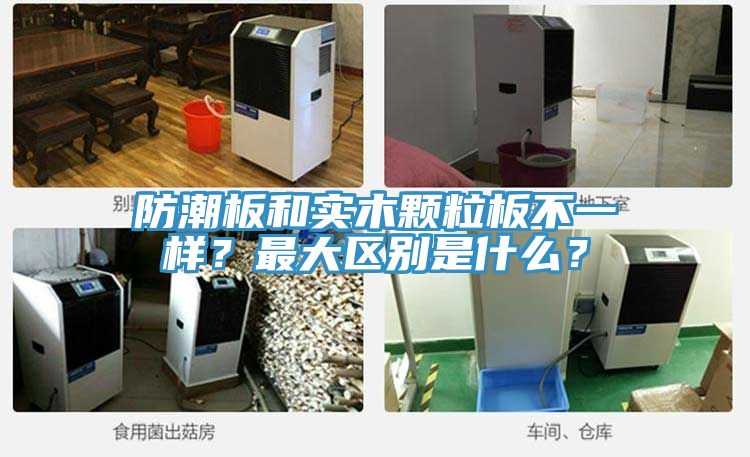 防潮板和實(shí)木顆粒板不一樣？最大區(qū)別是什么？