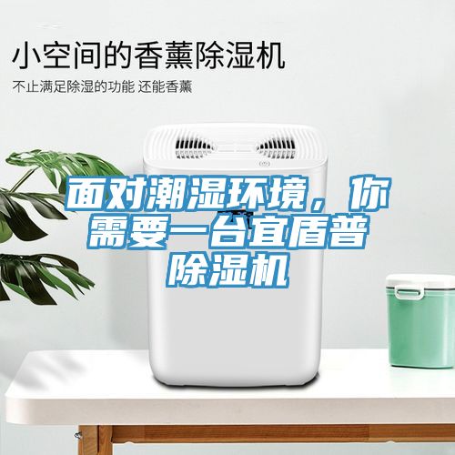 面對潮濕環(huán)境，你需要一臺宜盾普除濕機