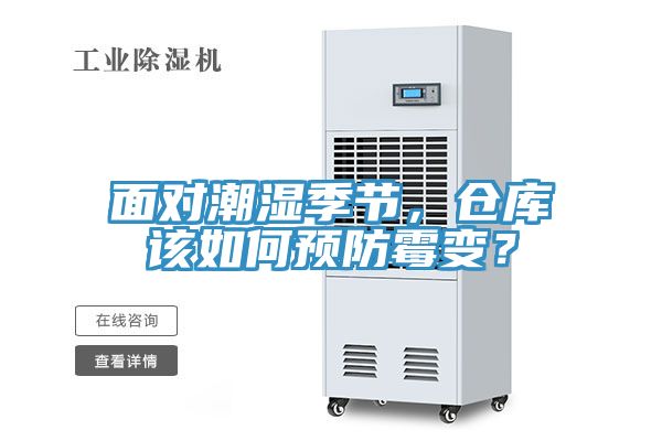 面對潮濕季節(jié)，倉庫該如何預(yù)防霉變？