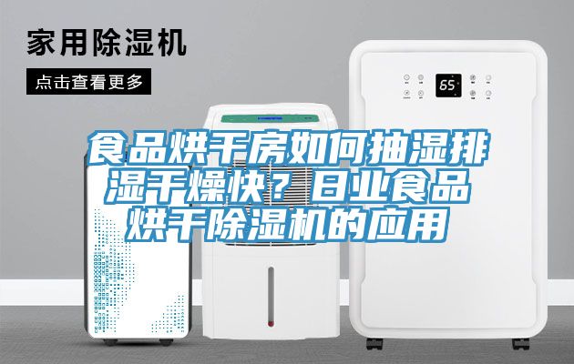 食品烘干房如何抽濕排濕干燥快？日業(yè)食品烘干除濕機(jī)的應(yīng)用