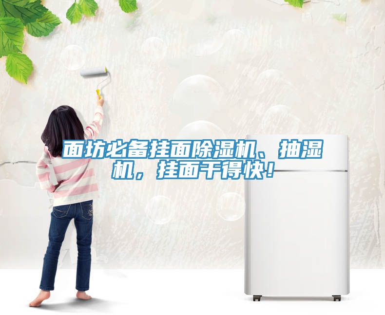 面坊必備掛面除濕機、抽濕機，掛面干得快！