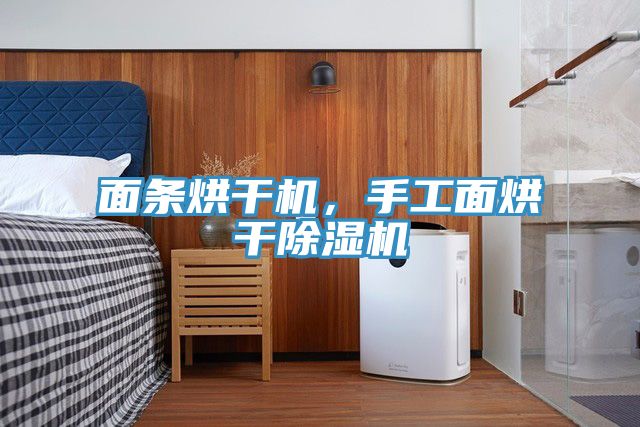 面條烘干機，手工面烘干除濕機
