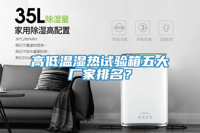 高低溫濕熱試驗(yàn)箱五大廠家排名？