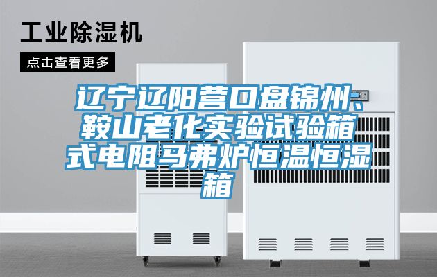 遼寧遼陽(yáng)營(yíng)口盤錦州、鞍山老化實(shí)驗(yàn)試驗(yàn)箱式電阻馬弗爐恒溫恒濕箱