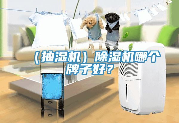 （抽濕機(jī)）除濕機(jī)哪個(gè)牌子好？