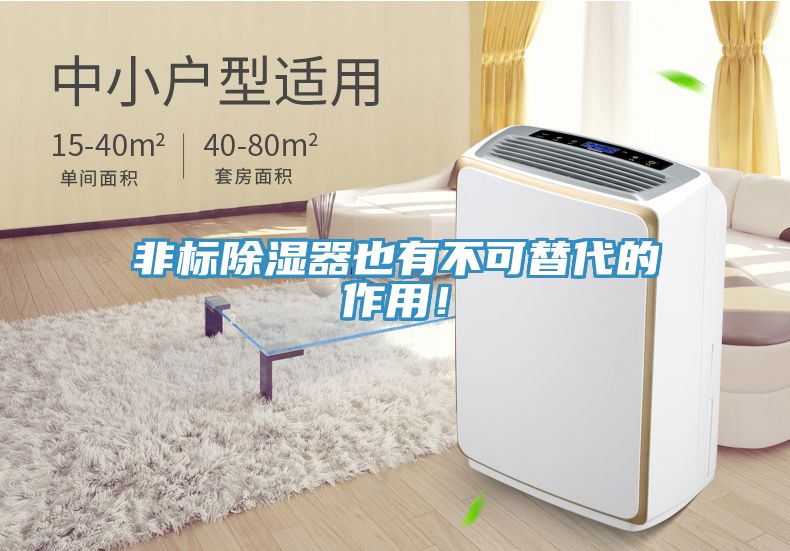 非標除濕器也有不可替代的作用！