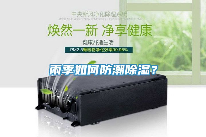 雨季如何防潮除濕？