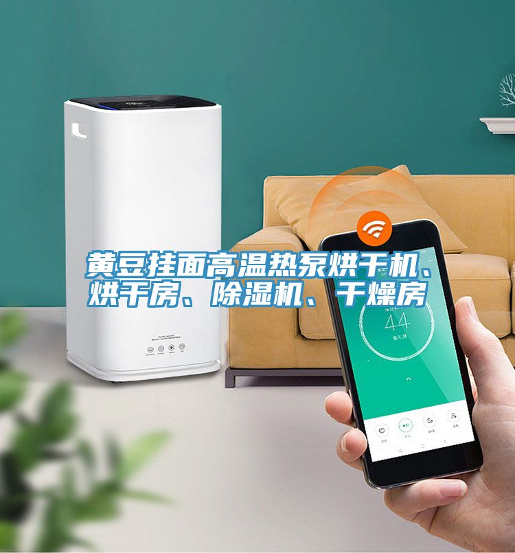 黃豆掛面高溫?zé)岜煤娓蓹C、烘干房、除濕機、干燥房
