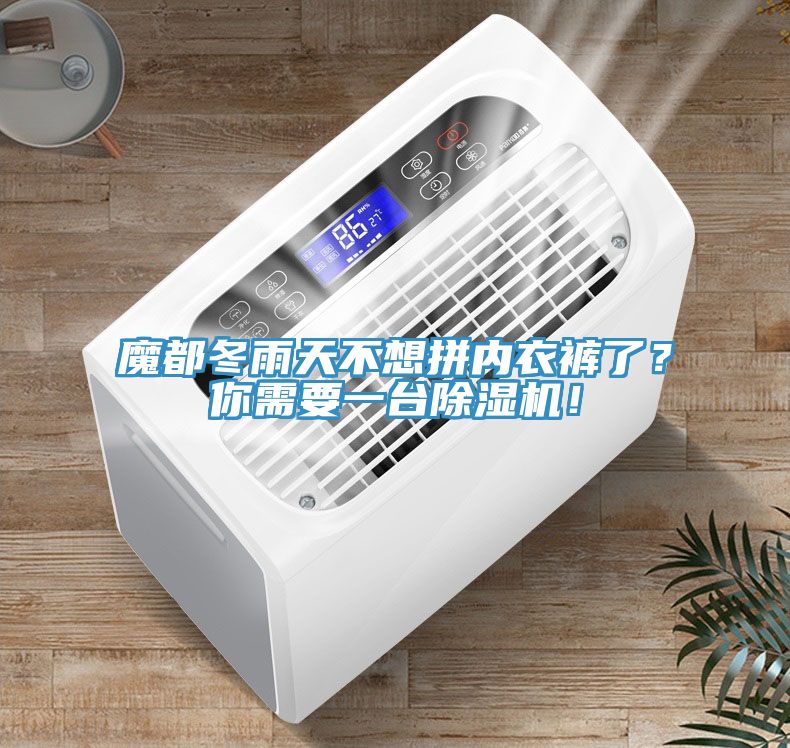 魔都冬雨天不想拼內(nèi)衣褲了？你需要一臺除濕機(jī)！