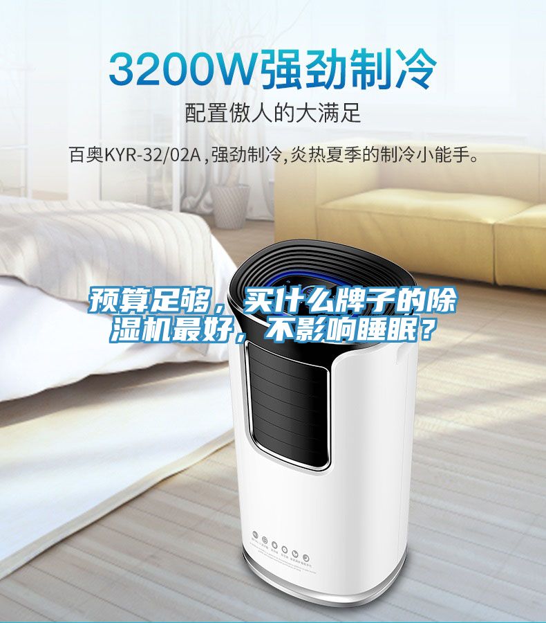 預(yù)算足夠，買什么牌子的除濕機最好，不影響睡眠？
