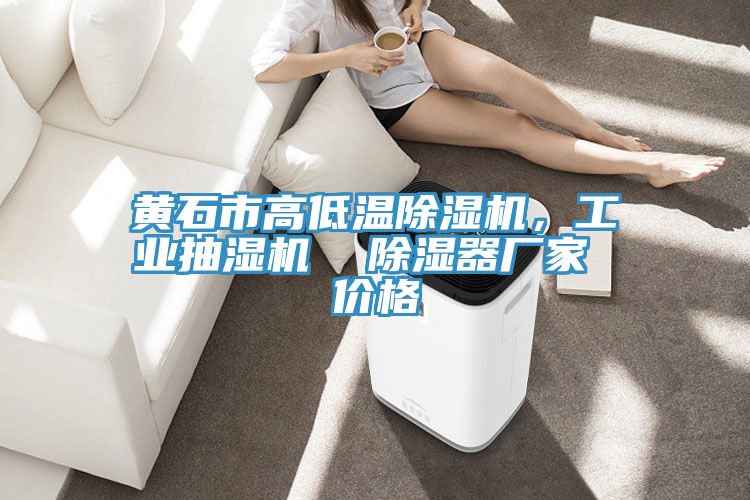 黃石市高低溫除濕機，工業(yè)抽濕機  除濕器廠家 價格