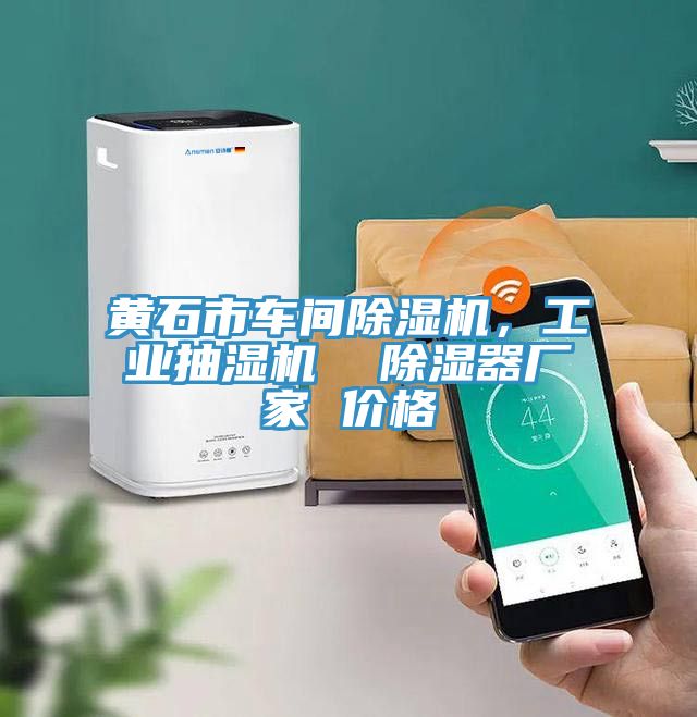 黃石市車間除濕機，工業(yè)抽濕機  除濕器廠家 價格