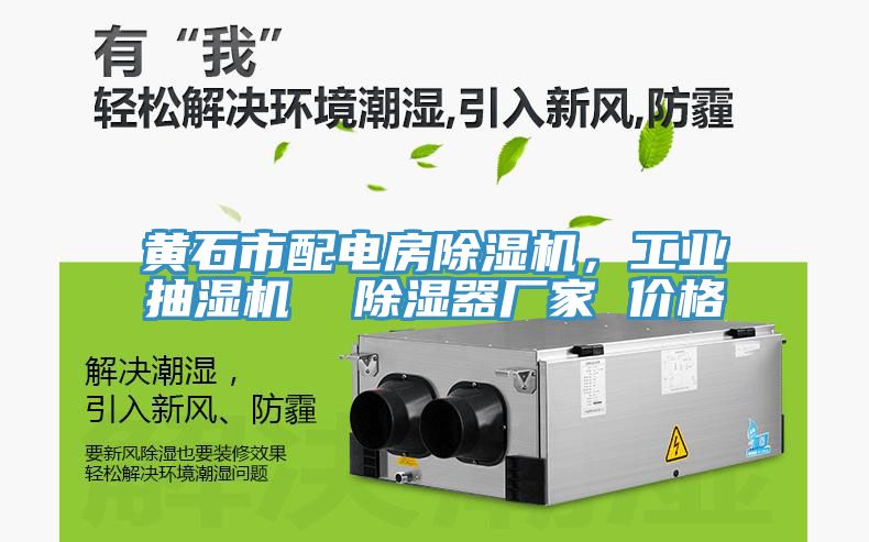 黃石市配電房除濕機，工業(yè)抽濕機  除濕器廠家 價格