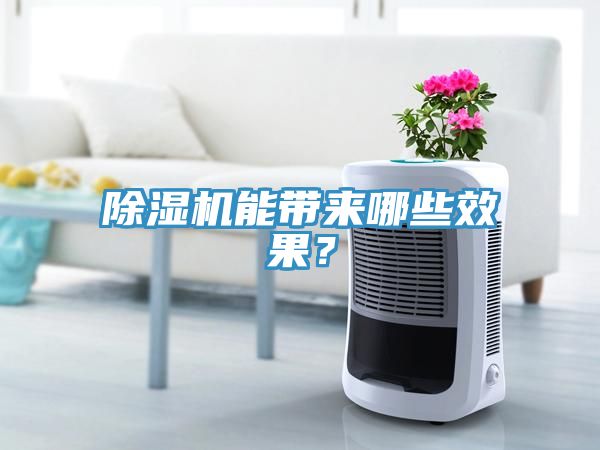 除濕機(jī)能帶來(lái)哪些效果？