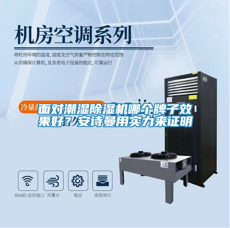 面對潮濕除濕機哪個牌子效果好？安詩曼用實力來證明