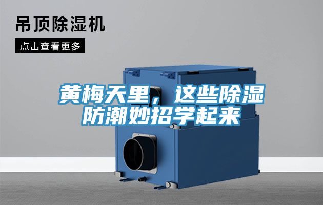 黃梅天里，這些除濕防潮妙招學起來