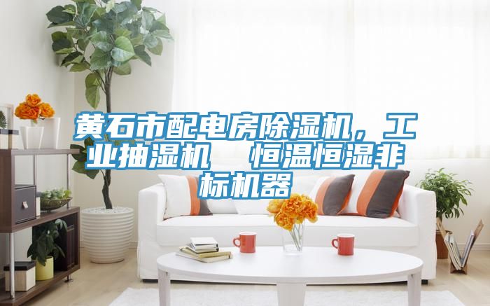 黃石市配電房除濕機，工業(yè)抽濕機  恒溫恒濕非標機器