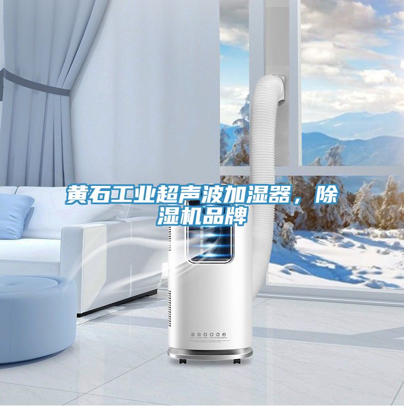 黃石工業(yè)超聲波加濕器，除濕機品牌