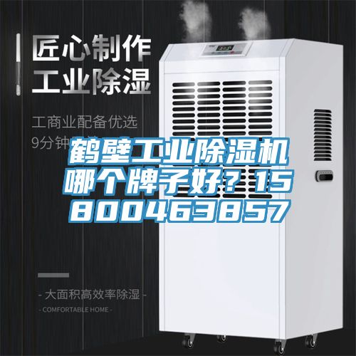 鶴壁工業(yè)除濕機(jī)哪個(gè)牌子好？15800463857