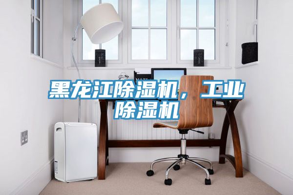 黑龍江除濕機，工業(yè)除濕機
